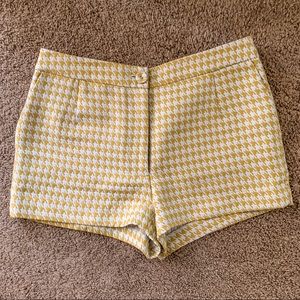 Limited Edition Shorts